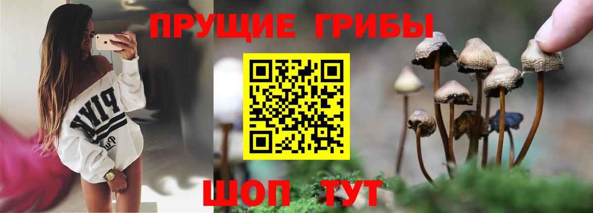 Псилоцибиновые грибы мухоморы Лысьва